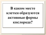 be09l12F041.jpg
