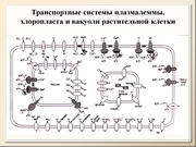 BE10L11F008.jpg