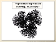 BE10L06F016.jpg
