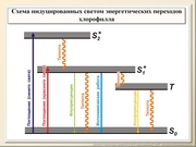 BE10L02F010.jpg