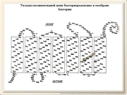 be09l08F012.jpg