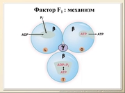 BE2011L10F038.jpg