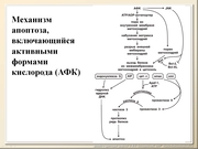 BE10L13F040.jpg