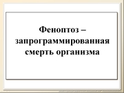 BE10L13F009.jpg