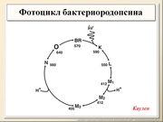 BE2011L09F015.jpg