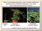 BE2011L12F015.jpg