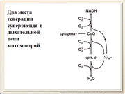 be09l12F043.jpg