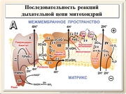be09l05F008.jpg