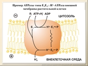 BE10L10F026.jpg