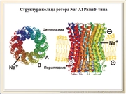 be09l10F015.jpg