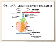 be09l10F018.jpg