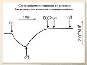 BE10L08F016.jpg