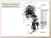 BE2011L07F019.jpg
