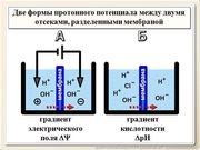 be09l01F014.jpg