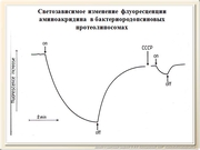 be09l08F015.jpg