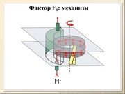 BE2011L10F039.jpg