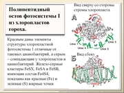 BE10L03F022.jpg