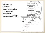 BE2011L12F046.jpg