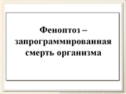 be09l12F007.jpg
