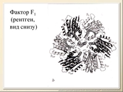 BE2011L10F028.jpg