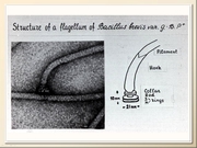BE2011L11F016.jpg