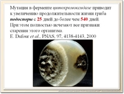 be08l14va_F38