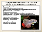 BE10L13F020.jpg