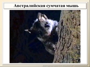 BE2011L12F023.jpg