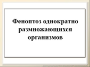 BE2011L12F012.jpg