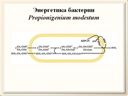 be09l11F044.jpg