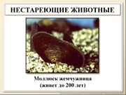 BE10L13F023.jpg