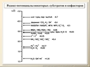 BE10L06F015.jpg