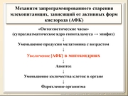BE10L13F041.jpg