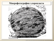 BE10L03F017.jpg