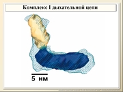 be08l05va_F10p