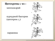 BE2011L02F018.jpg