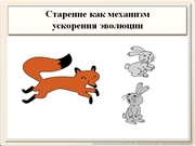 be09l12F019.jpg