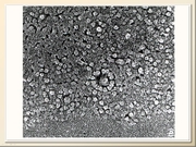 BE10L12F012.jpg
