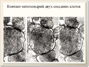 be08l13va_F39