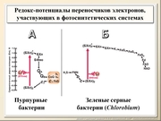 BE10L03F007.jpg