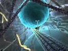 Harvard Cell Animation.mp4