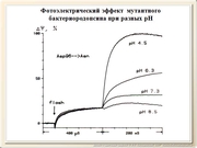 be09l08F021.jpg