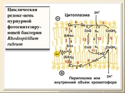 BE10L02F011.jpg