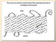 BE10L08F012.jpg