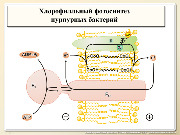 BE2015L02F007.jpg