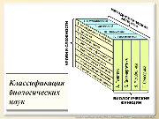 BE2015L01F007.jpg