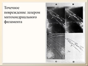 BE2011L11F034.jpg