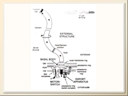 BE10L12F013.jpg