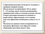 BE2011L12F018.jpg