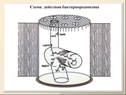 BE10L08F025.jpg